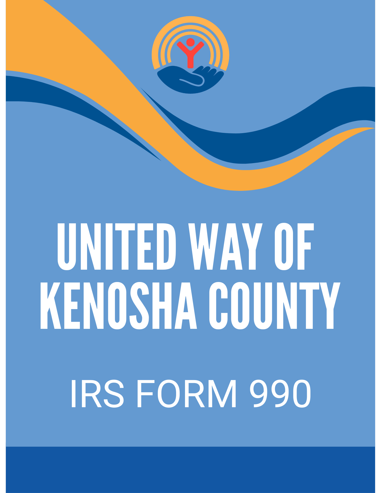 IRS FORM 990